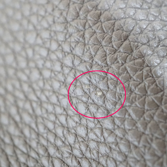 Celine Hippo Phantom Medium Tote Bag Beige Greige - Picture 7 of 13